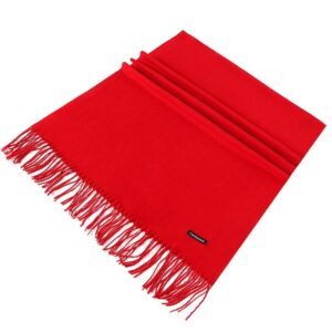 2025 Red Scarf